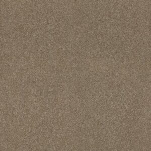 ACROSS THE BAY by Shaw Floors - Lodge