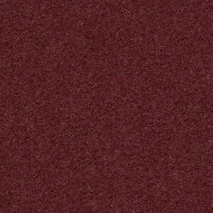 QUIET COMFORT I by Shaw Floors - California Red