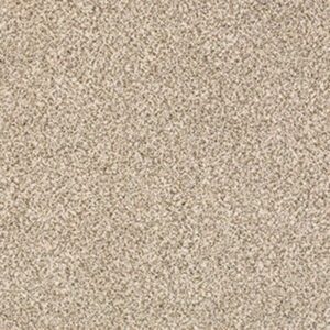 DELICATE DISTINCTION CLASSIC I by Shaw Floors - Cavern
