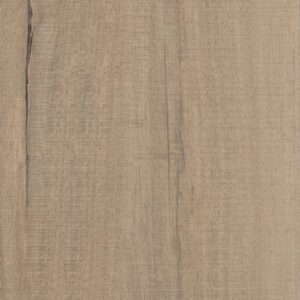 Endura Plus by Shaw Floors - Driftwood