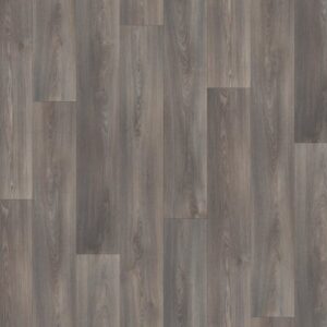 New Heights by Shaw Floors - Moreland