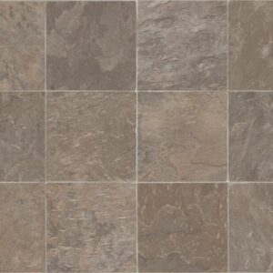 PLATEAU by Shaw Floors - Tavern