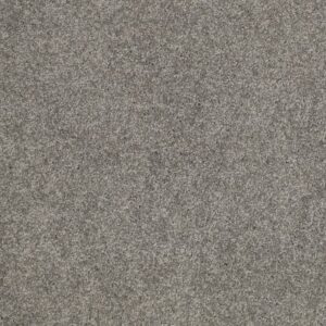 SALINA I by Shaw Floors - Titanium