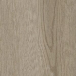 Philosopher's Tree by Philadelphia Commercial - Weathered Bark