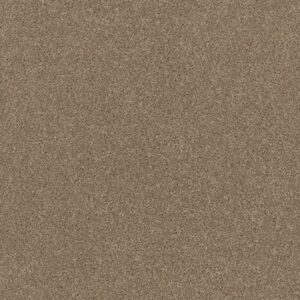 EXPLORER by Shaw Floors - Sedona