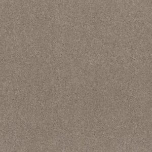 EXPLORER by Shaw Floors - Iron Gate