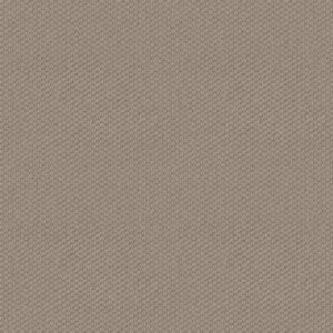 CATHEDRAL HILL II by Shaw Floors - Timeless