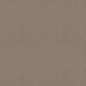 CATHEDRAL HILL II by Shaw Floors - Taupe Tone