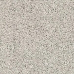 ACADIA PARK by Shaw Floors - Silver Screen