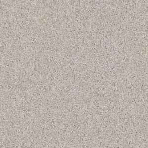 DEL MORRO by Shaw Floors - Cement