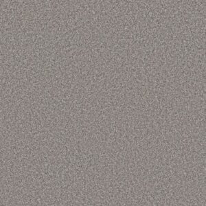 ARTISTIC FUSION II by Shaw Floors - Vintage
