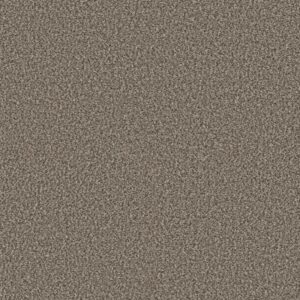 YES YOU CAN I 12' by Shaw Floors - Soft Sense