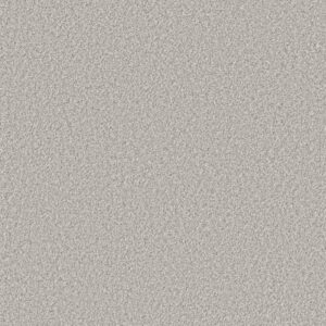 ARTISTIC FUSION II by Shaw Floors - Frozen