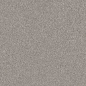 YES YOU CAN I 12' by Shaw Floors - Rock Crystal