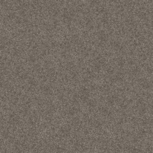 YES YOU CAN III 12' by Shaw Floors - Ashes