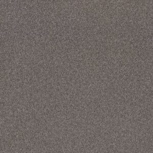 TRUSPLENDOR by Shaw Floors - Quarry