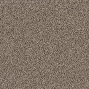 TRUSPIRIT II by Shaw Floors - Truffle