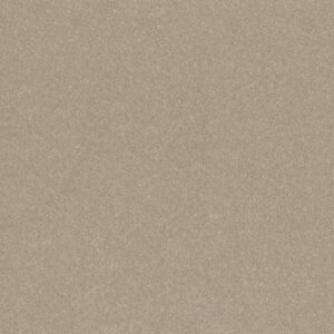 HARD AT PLAY I 15' by Shaw Floors - Subtle Clay