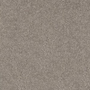 TENACIOUS WIN by Shaw Floors - Overcast