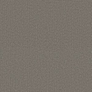 SECRET PASSAGE by Shaw Floors - River Run