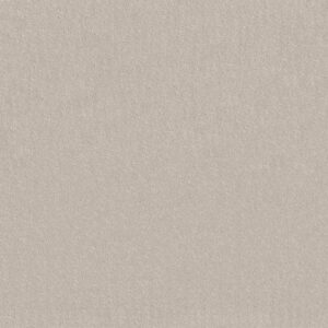 CHIC NUANCE by Shaw Floors - Serene Still