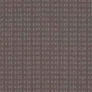 ESSENTIAL NOW by Shaw Floors - Ridgeview