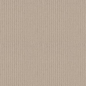 FRAMED VIEW by Shaw Floors - Natural Wood