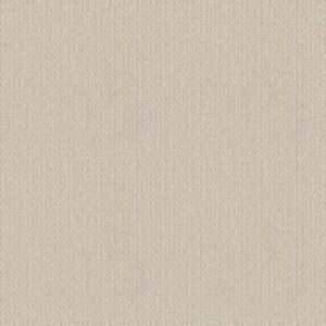 ESSENTIAL NOW by Shaw Floors - Washed Linen
