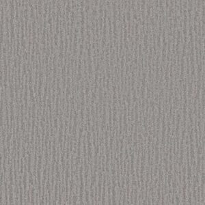 NATURE WITHIN by Shaw Floors - Grey Fox