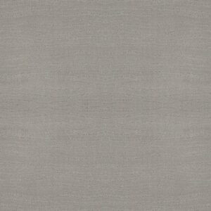 CAPISTRANO by Shaw Floors - Silver Fox