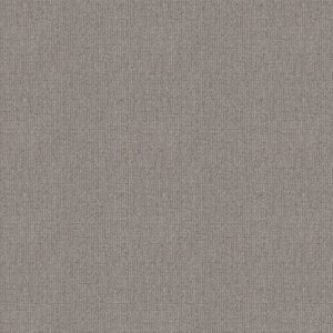 WAYFARER by Shaw Floors - Moonshine