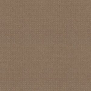TOWN SQUARE by Shaw Floors - Sierra Hills