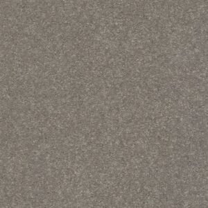 WELL GROUNDED III 12 by Shaw Floors - Tree Bark