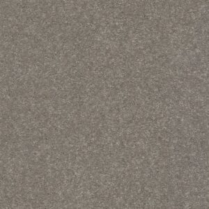 WELL GROUNDED II 15 by Shaw Floors - Tree Bark
