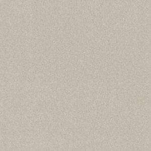 WELL GROUNDED I 12 by Shaw Floors - Minimalist