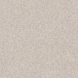 MAKE IT MINE II by Shaw Floors - Desert Light