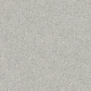 AFTER ALL II by Shaw Floors - Shadow