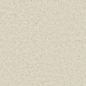 ROYAL PORTRUSH I 12' by Shaw Floors - Angel Cloud