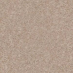 BRIDGEWOOD by Shaw Floors - Aura