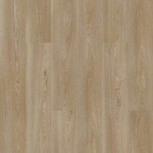 Praxis Plank by Shaw Floors - Chaucer