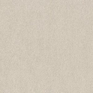 COZY HARBOR I by Shaw Floors - Delicate Cream