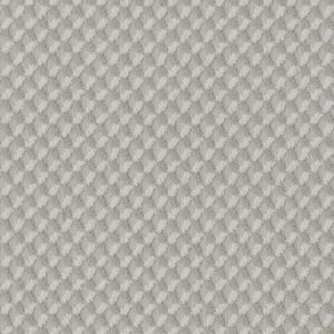 INSPIRED DESIGN by Shaw Floors - Minimal