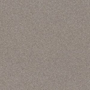 GRANDIOSE by Shaw Floors - River Run