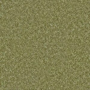 DREAMIN' 12' by Shaw Floors - Spring Valley