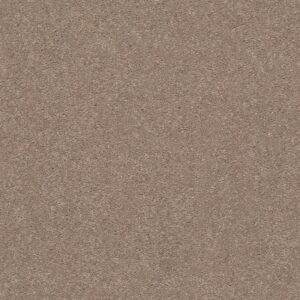 MOMENTUM II by Shaw Floors - Canyon Buff