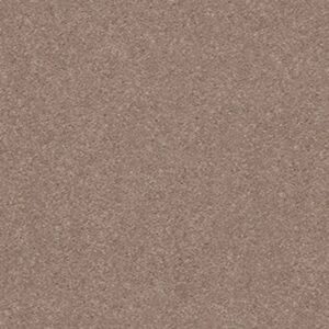 MOMENTUM I by Shaw Floors - Canyon Buff