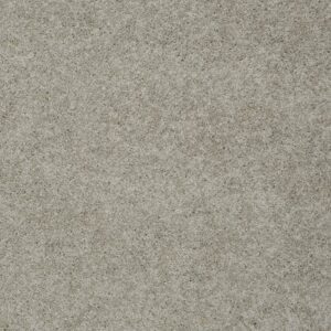 MY INSPIRATION I by Shaw Floors - Natural