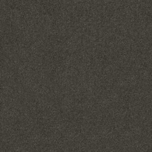 LOOK FORWARD by Shaw Floors - Rich Earth