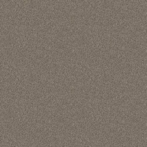 CABANA LIFE (B) by Shaw Floors - Granite