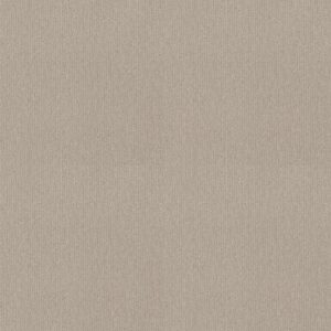 INSIGHTFUL WAY by Shaw Floors - Quiet Moment